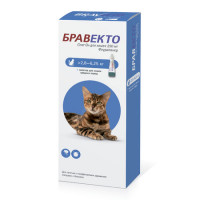 Intervet Бравекто капли от блох и клещей для кошек массой от 2,8 до 6,25 кг
