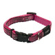 Ошейник для собак ROGZ Fancy Dress S-11мм 200-310 мм (Кость на розовом HB01BN)
