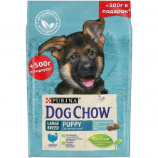 Сухой корм Purina Dog Chow Puppy Large Breed для щенков крупных пород до 2 лет с индейкой - 2,5 кг + 500 г в подарок