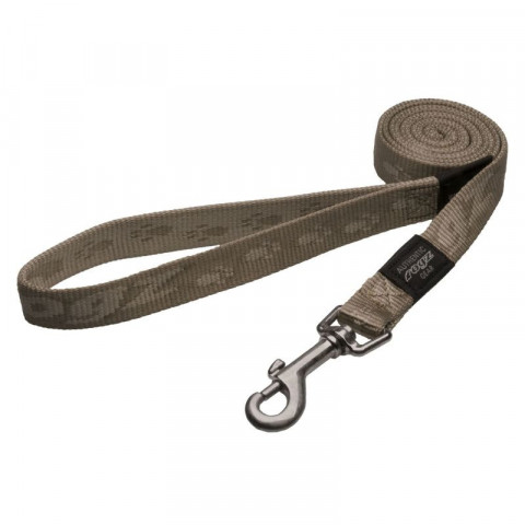 Поводок удлиненный для собак ROGZ Alpinist L-20мм 1,8 м (Золотистый HLL25M)