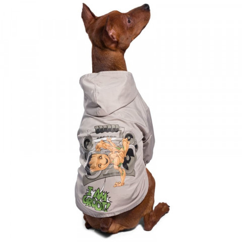 Triol Дождевик-попона Marvel Грут, размер S