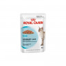 Royal Canin Urinary Care 85 г