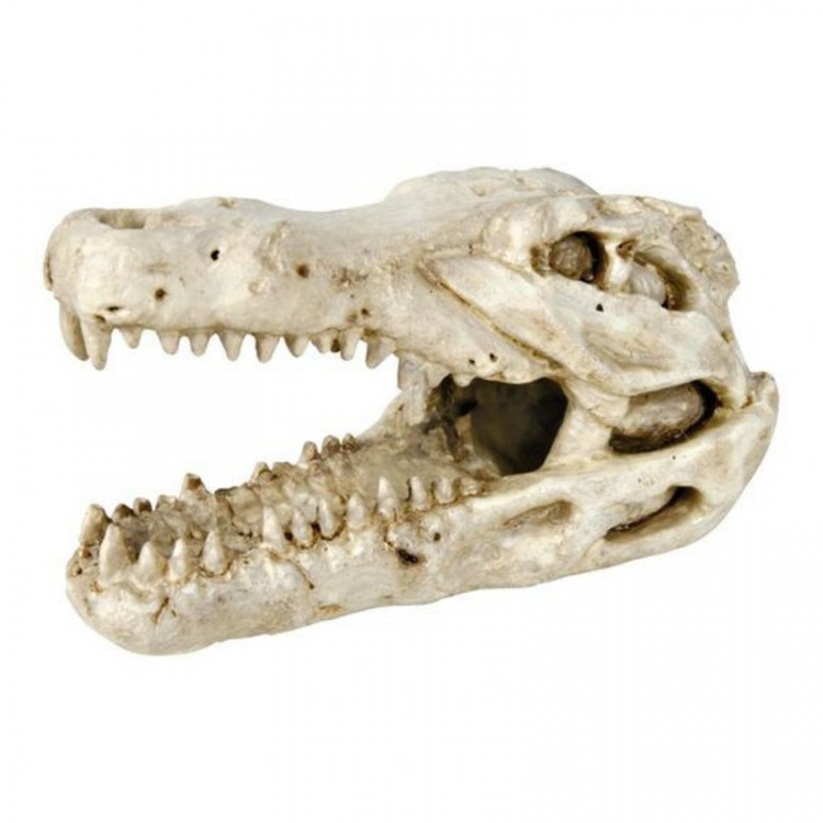 Грот Trixie для аквариума череп крокодила 14 см пластиковый 1 ш