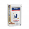 Royal Canin Renal feline with Beef pauch (0.085 кг)
