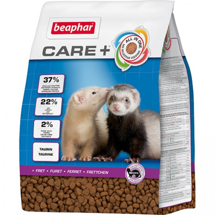 Таурин для хорьков - важное добавление в рацион для полноценного здоровья