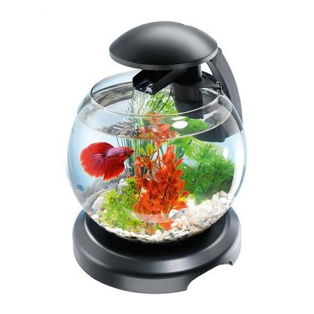 Tetra Cascade Globe комплекс аквариумный черный - 6,8 л