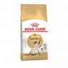 Royal Canin Siamese сухой корм для взрослых сиамских кошек - 2 кг