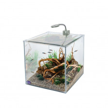 Gloxy Optic Set аквариум, светильник, грунт + фильтр в подарок 25х25х25 см 15 л