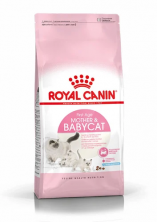 Royal Canin Mother & Babycat PRO - 6 кг