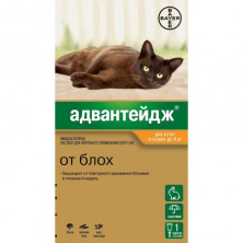 Капли Адвантейдж от блох для котят и кошек весом менее 4 кг - 1 пипетка