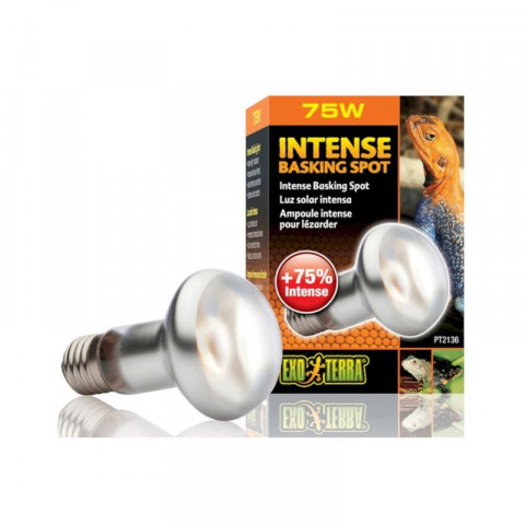 Exo Terra лампа для аквариума для баскинга Intense basking spot 75 Вт (PT2136)