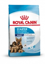 Royal Canin Maxi Starter сухой корм для щенков крупных пород в период отъема до 2 - месячного возраста, беременных и кормящих сук - 18 кг 