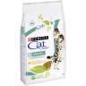 Purina Cat Chow Special Care для кастрированных котов и стерилизованных кошек - 15 кг