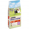 Purina Dog Chow для взрослых собак старше 5 лет с ягненком - 14 кг