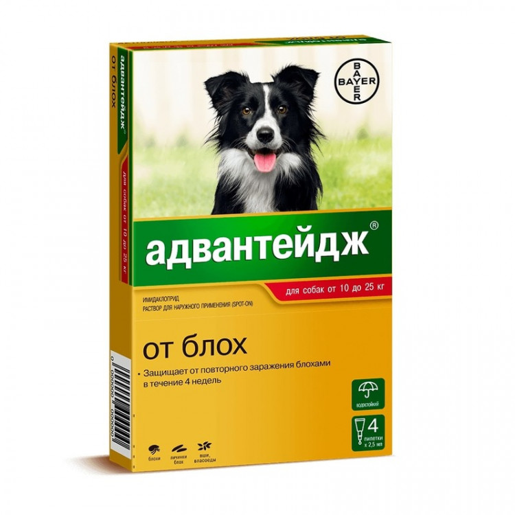 Капли Адвантейдж капли на холку от блох для собак весом от 10 до 25 кг - 4 пипетки 1 ш