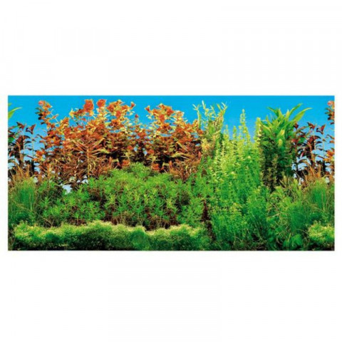 Фон для аквариума Trixie двусторонний 80х40 см 1 ш