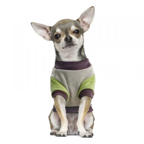 Triol Disney Pluto College толстовка для собак M, 30 см