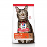Hill's Science Plan Optimal Care сухой корм для взрослых кошек с ягненком - 10 кг