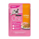 PURINA ONE 