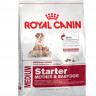 Royal Canin Medium Starter Mother Babydog сухой корм для щенков средних пород в период отъема до 2 - месячного возраста, беременных и кормящих сук - 12 кг