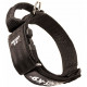 Julius-K9 ошейник для собак Color & Gray, 47-67 см/5 см, закрытая ручка + скрытый локер, черный