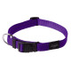 Ошейник для собак ROGZ Utility XL-25мм  430-700 мм (Фиолетовый HB05E)