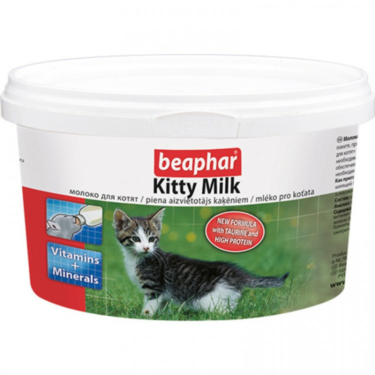Milk kittie 50 Best