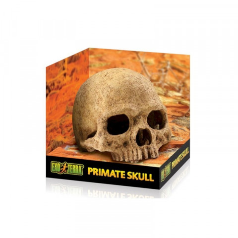 Exo Terra убежище-декор Череп примата 11х14х9 (PT2855)