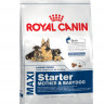 Royal Canin Maxi Starter сухой корм для щенков крупных пород в период отъема до 2 - месячного возраста, беременных и кормящих сук - 15 кг