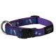 Rogz ошейник для собаки классический, 340-560 мм (обхват шеи), HB03CH, фиолетовый