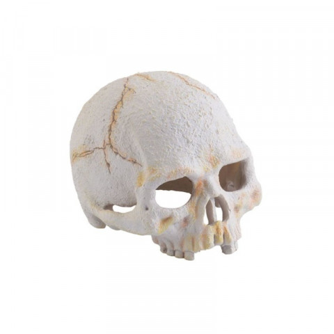 Exo Terra убежище-декор Череп примата 9х11 (PT2926)