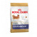 Royal Canin Chihuahua Adult сухой корм для взрослых собак породы чихуахуа - 500 гр