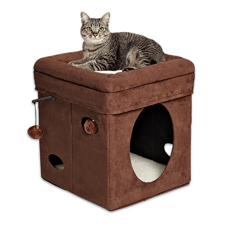 Купить домашнюю кошку. Midwest домик-лежанка для кошек currious Cat Cube складной 38,4х38,4х42h см. Домик для кошек Zooexpress куб 2 уровня однотонный 42х42х55 см. Кошка дома. Коты в домике.