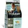 Pronature Holistic для кошек для кожи и шерсти с лососем и рисом - 2,72 кг