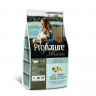 Pronature Holistic для кошек для кожи и шерсти с лососем и рисом - 2,72 кг