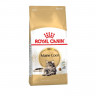 Royal Canin Maine Coon Adult - 2 кг