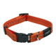 Ошейник для собак ROGZ Utility S-11мм 200-310 мм (Оранжевый HB14D)