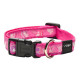 Ошейник для собак ROGZ Fancy Dress M-16мм 260-400 мм (Розовый HB12CA)