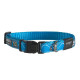 Ошейник для собак ROGZ Fancy Dress S-11мм 200-310 мм (Голубой HB01BX)